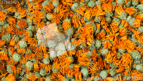 Image of Dried marigold