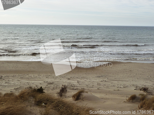 Image of sandy coastline in north denmark