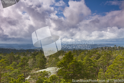 Image of view over forest with cloudy sky