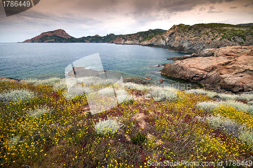 Image of Corsica coastline