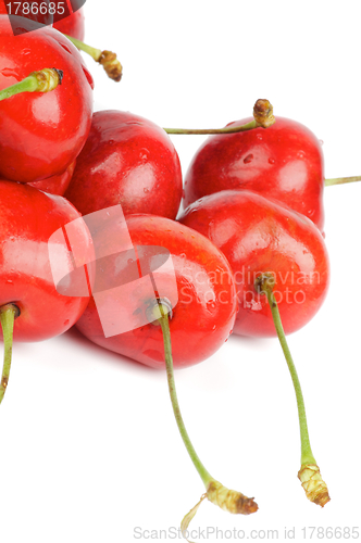 Image of Fresh Ripe Cherry