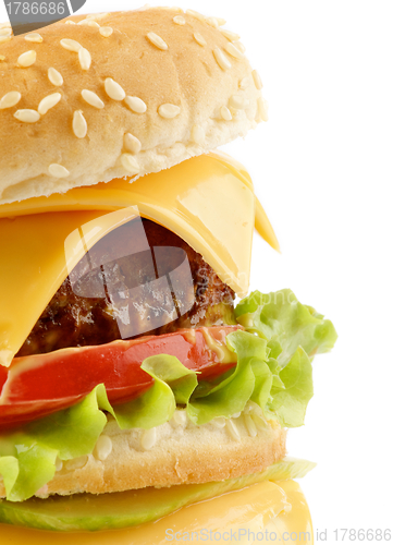 Image of Tasty Cheeseburger