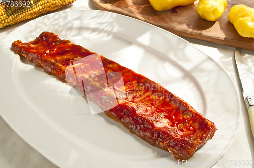 Image of marinated spareribs