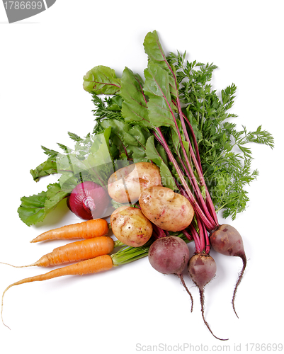 Image of Arrangement of Raw Organic Vegetables