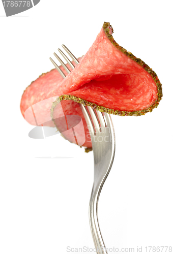 Image of slice of salami sausage