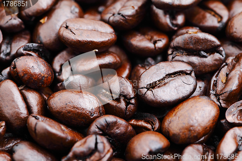 Image of Coffee beans