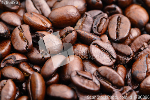 Image of coffee bean