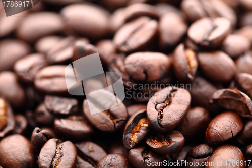 Image of Coffee beans