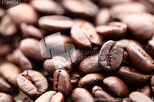 Image of Coffee bean