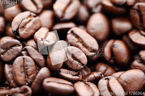 Image of Coffee bean