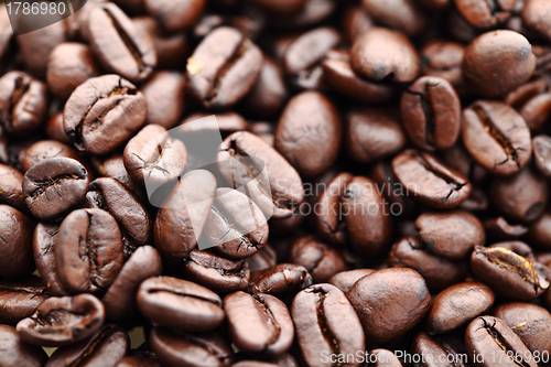 Image of Coffee beans