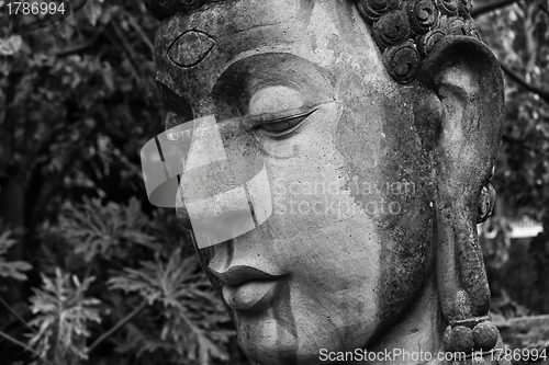 Image of buddha head close up