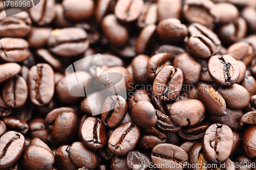 Image of Coffee beans