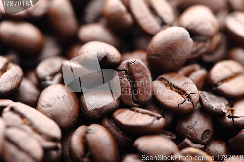 Image of Coffee beans