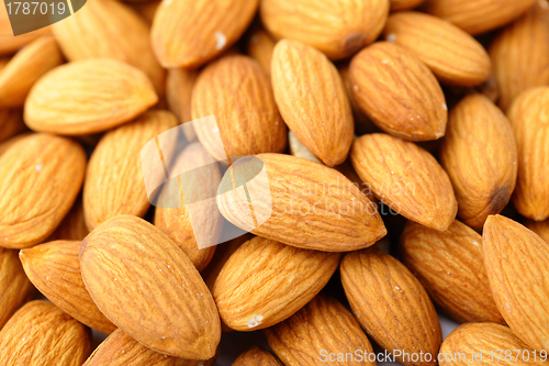 Image of Almond