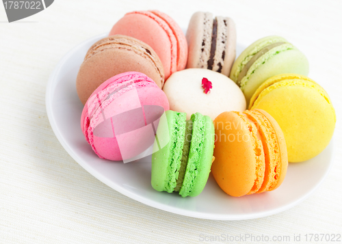 Image of Colorful macaroon