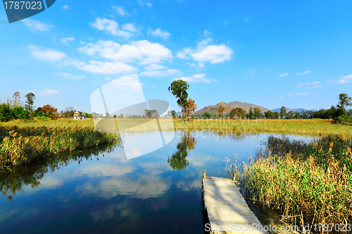 Image of Wetland