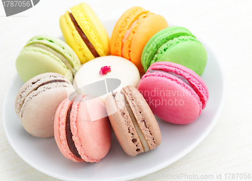 Image of macaroon