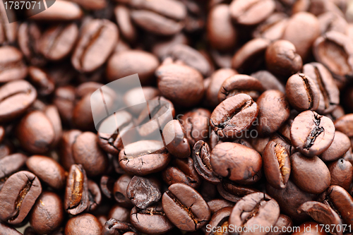 Image of Coffee beans