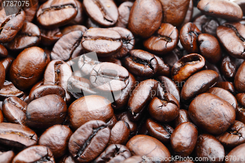 Image of coffee bean