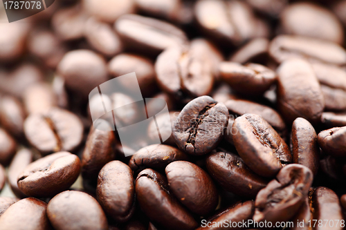 Image of coffee bean