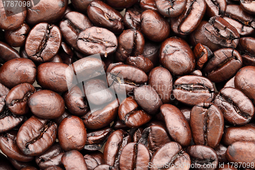 Image of coffee bean