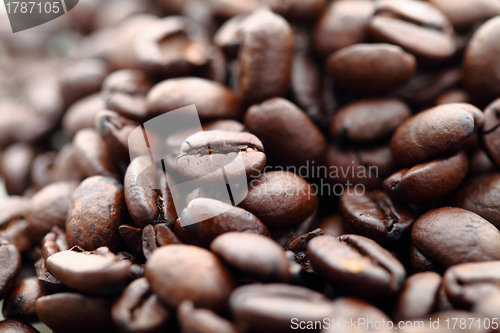 Image of coffee bean