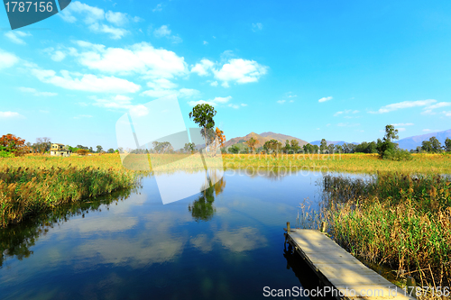 Image of Wetland