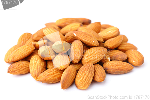 Image of Almond