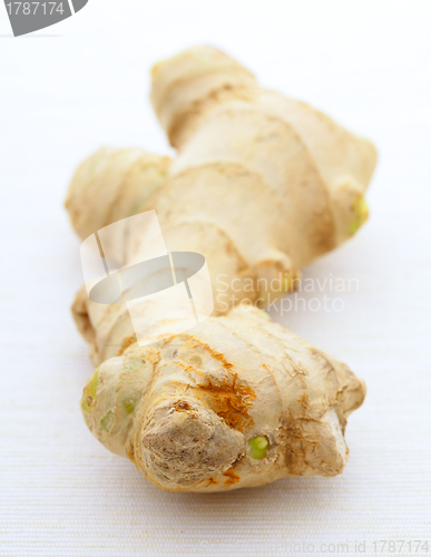 Image of ginger