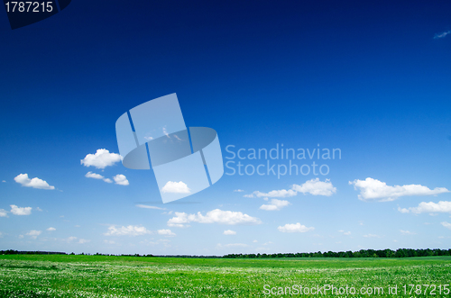 Image of field 