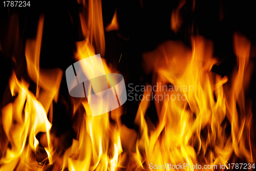 Image of  fire