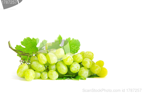 Image of  grape 