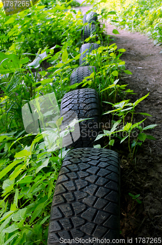 Image of Forest path strengthen with old used car tires 