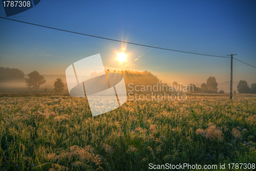 Image of Meadows on morning with power line