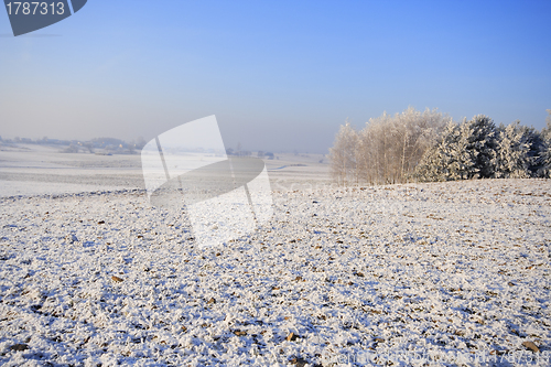 Image of Frozen fields and meadows