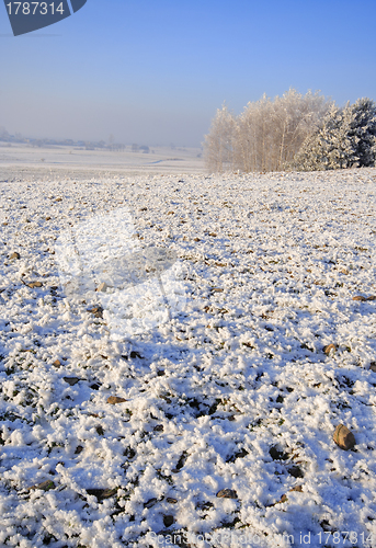 Image of Frozen fields and meadows