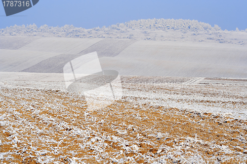Image of Hazy winter landscape