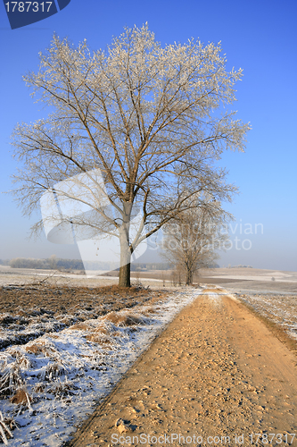 Image of Dirty rural road