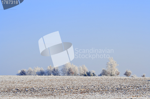 Image of Frozen plowed fields and trees