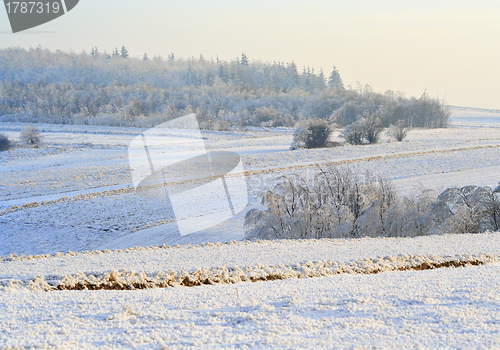 Image of Rural winter landscape