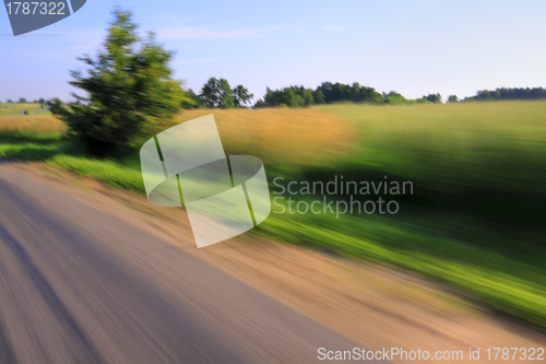 Image of Road and tree with motion blur