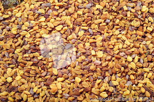 Image of Fenugreek seeds