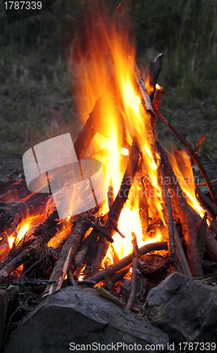 Image of Campfire