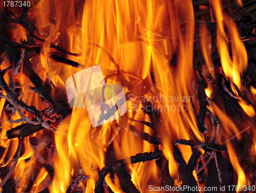 Image of Bonfire close up