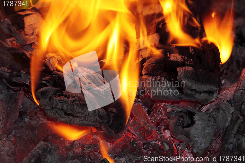 Image of Bonfire close up