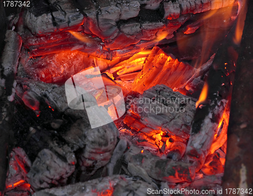 Image of Bonfire red heat close up