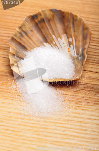 Image of Salt in shell