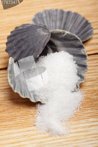 Image of Sugar in shell