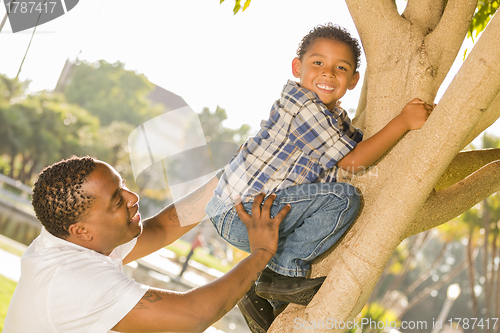 Image of Happy Mixed Race Father Helping Son Climb a Tree
